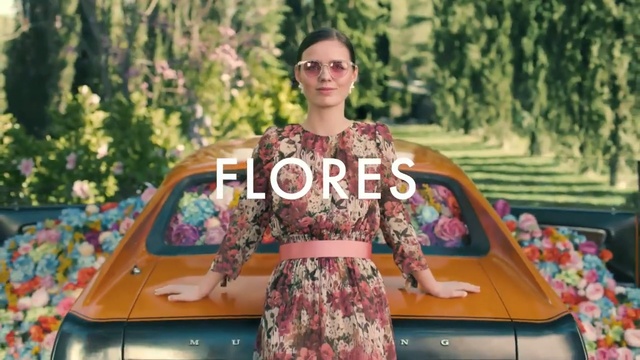 Video Reference: Vehicle, Car, Fun, Summer, Tree, Automotive exterior, Photography, Hippie, Leisure, Fawn, Person