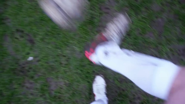 Video Reference: Grass, Leaf, Grass, Wing