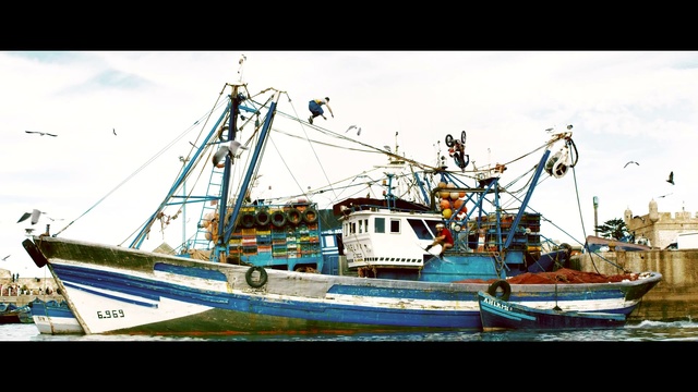 Video Reference: Boat, Fishing vessel, Vehicle, Fishing trawler, Watercraft, Ship, Water transportation, Naval trawler, Harbor
