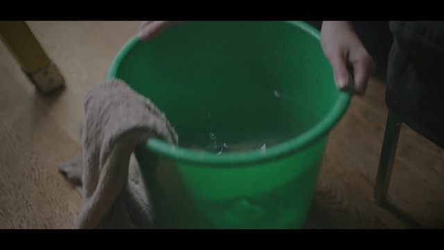 Video Reference: Green, Plastic, Leaf, Litter box, Bucket, Shoe