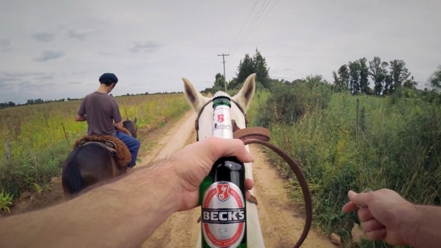 Video Reference: Drink, Fun, Landscape, Recreation, Beer, Bottle, Person