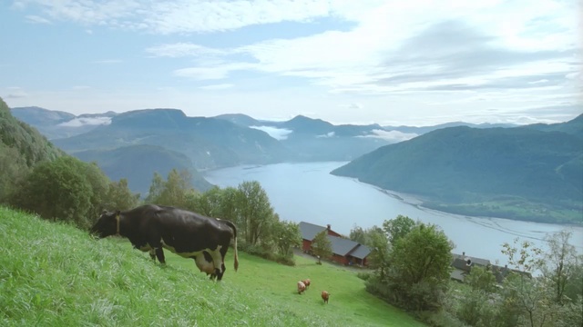 Video Reference: highland, nature reserve, pasture, mount scenery, wilderness, mountainous landforms, mountain, hill station, grassland, mountain range