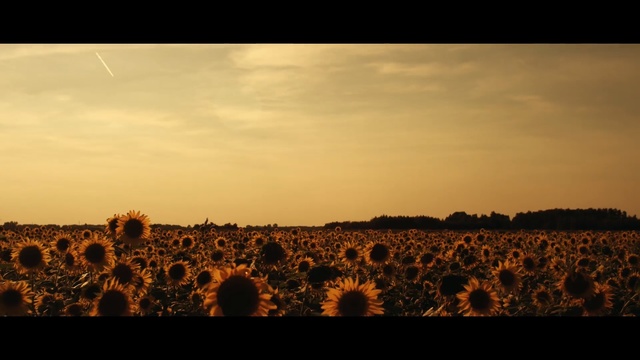 Video Reference: Sky, Nature, Horizon, Field, Natural landscape, Cloud, Evening, Morning, Sunset, Ecoregion, Person