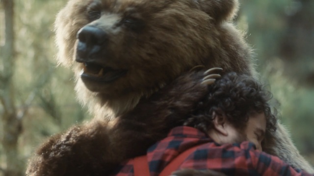 Video Reference: Vertebrate, Brown bear, Mammal, Grizzly bear, Terrestrial animal, Bear, Carnivore, Wildlife, Organism, Kodiak bear