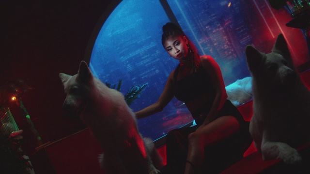 Video Reference: Light, Fun, Space, Photography, Room, Performance, Magenta, Night, Cat, Illustration, Person