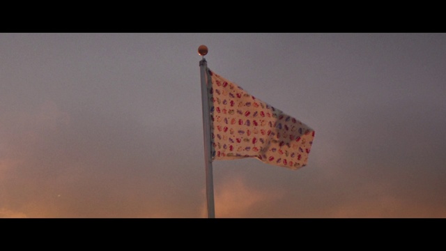 Video Reference: Flag, Sky, Lampshade