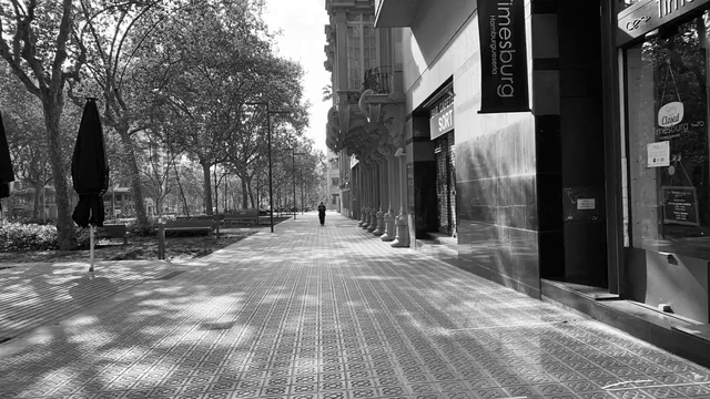 Video Reference: White, Black, Black-and-white, Monochrome, Street, Urban area, Monochrome photography, Town, Road, Tree