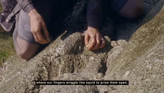 Video Reference: Rock, Soil, Geology, Archaeology, Hand, Recreation