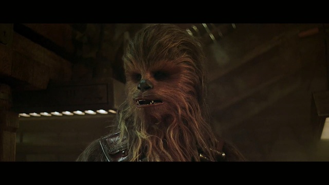Video Reference: screenshot, darkness, facial hair, midnight, snout