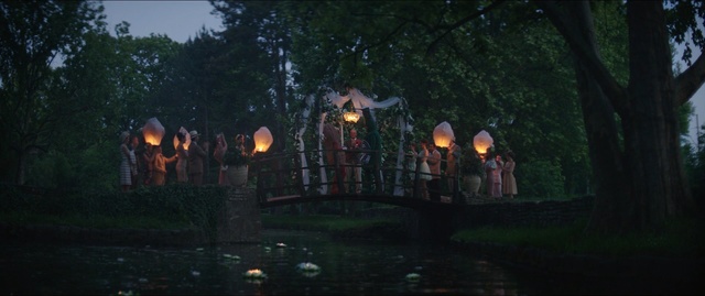 Video Reference: tree, darkness, night, light, lighting, evening, landscape lighting, forest, screenshot, midnight