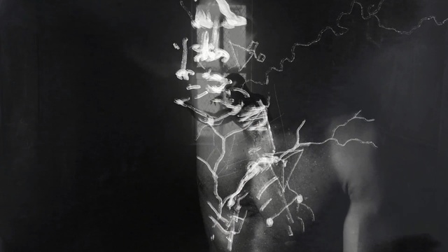 Video Reference: black, black and white, darkness, monochrome photography, monochrome, smoke, organism, still life photography, computer wallpaper, stock photography, Person