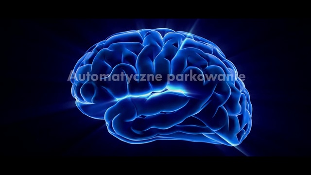 Video Reference: Brain, Medical, Brain, Electric blue, Organism, Organ, Water, Human body, Human, Joint
