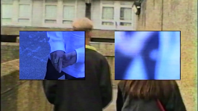 Video Reference: Photograph, Blue, Snapshot, Cobalt blue, Art, Organism, Electric blue, Portrait, Technology, Adaptation