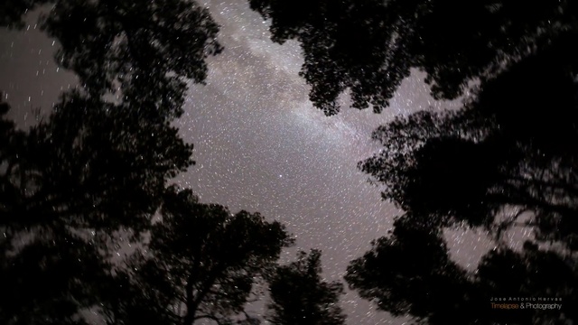 Video Reference: sky, nature, atmosphere, astronomical object, night, black and white, tree, darkness, universe, cloud