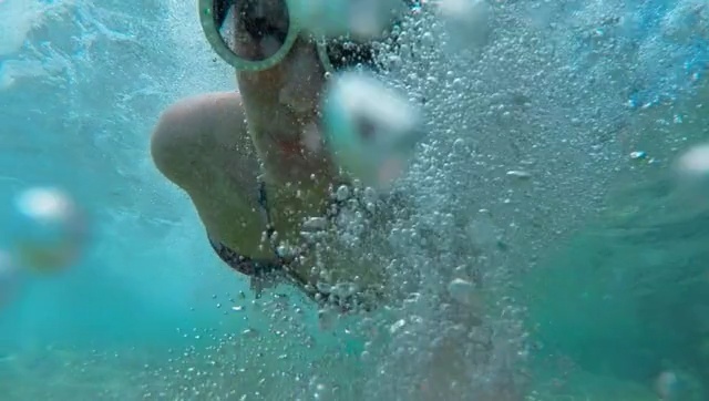 Video Reference: water, underwater, swimming, swimmer, organism, marine biology, snorkeling, sea, diving