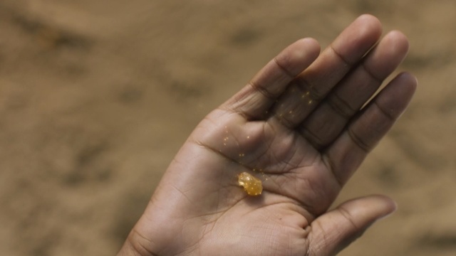 Video Reference: Hand, Finger, Skin, Nail, Organism, Thumb, Plant, Gesture