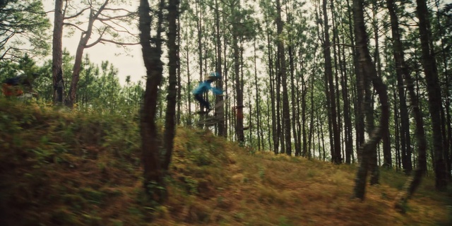 Video Reference: Woodland, Forest, Tree, Nature, Natural environment, Old-growth forest, Nature reserve, Biome, Trail, Northern hardwood forest