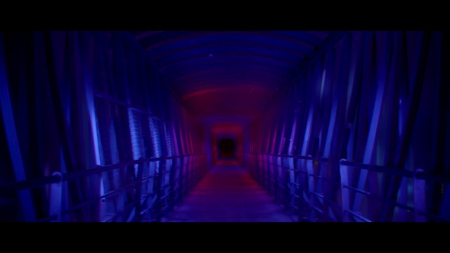 Video Reference: Blue, Purple, Light, Violet, Electric blue, Darkness, Magenta, Symmetry, Photography, Night