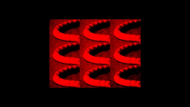 Video Reference: Red, Text, Font, Mouth, Organism, Carmine, Graphics, Logo, Pattern, Symbol