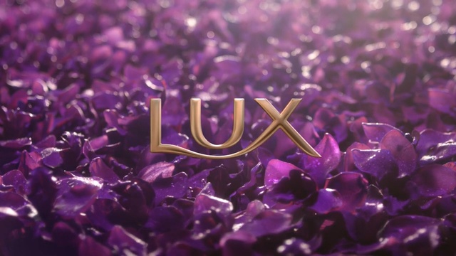 Video Reference: Violet, Purple, Lilac, Lavender, Text, Font, Pink, Fashion accessory, Flower, Plant