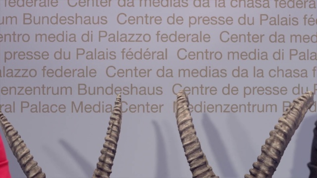 Video Reference: Text, Font, Organism, Adaptation, Tree, Plant, Jaw, Metal