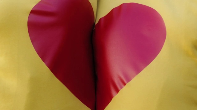 Video Reference: Heart, Red, Pink, Love, Valentines day, Heart, Magenta, Organ, Petal, Close-up