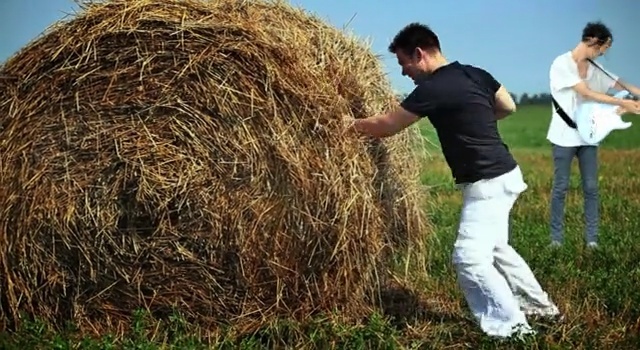 Video Reference: hay, straw, grass, agriculture, grass family, plant, field, crop