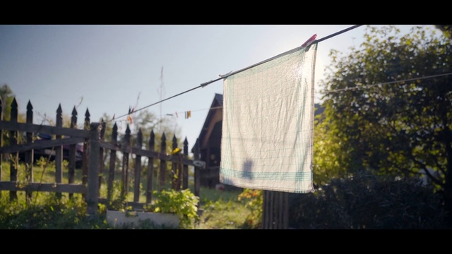 Video Reference: Nature, Photograph, Fence, Light, Leaf, Yellow, Morning, Tree, Sunlight, Land lot, Outdoor, Grass, Photo, Building, Snow, Man, Standing, Rain, Covered, Street, Field, Group, Riding, Water, Red, White, Skiing, Sign, Sheep, Sky, Plant