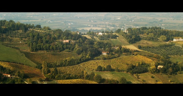 Video Reference: aerial photography, sky, bird's eye view, hill, rural area, field, photography, tree, landscape, agriculture