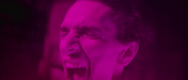 Video Reference: Pink, Violet, Purple, Magenta, Red, Light, Head, Petal, Mouth, Human