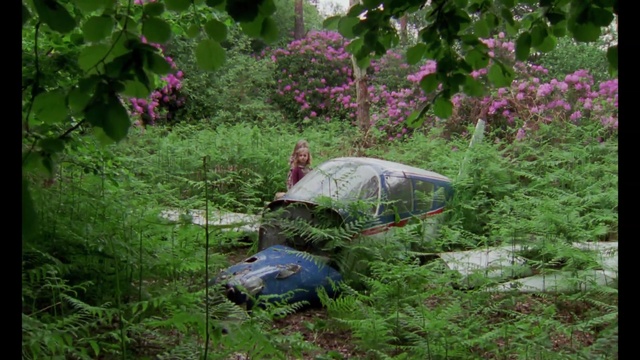 Video Reference: garden, tree, grass, Person