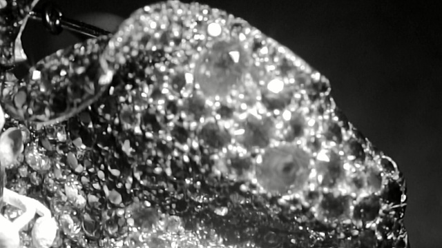 Video Reference: water, black and white, black, monochrome photography, photography, bling bling, monochrome, organism, macro photography, still life photography