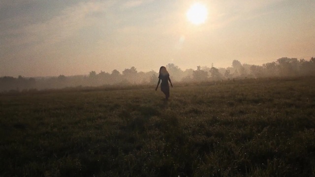 Video Reference: ecosystem, sky, atmosphere, morning, field, grassland, grass, sunlight, ecoregion, sunrise