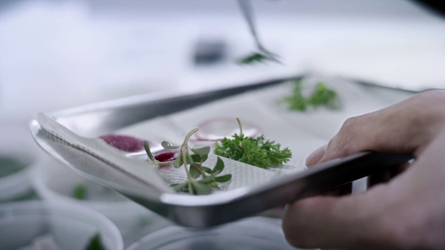 Video Reference: Hand, Plant, Food, Tableware, À la carte food, Herb, Recipe, Table, Vegetable, Flower
