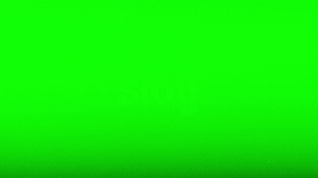 Video Reference: Green, Yellow, Grass, Leaf, Font, Artificial turf