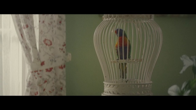Video Reference: Lamp, Light fixture, Glass, Interior design