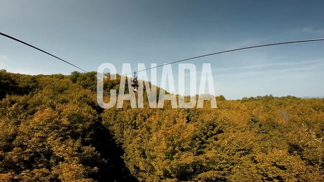 Video Reference: sky, leaf, tree, suspension bridge