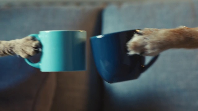 Video Reference: Hand, Tail