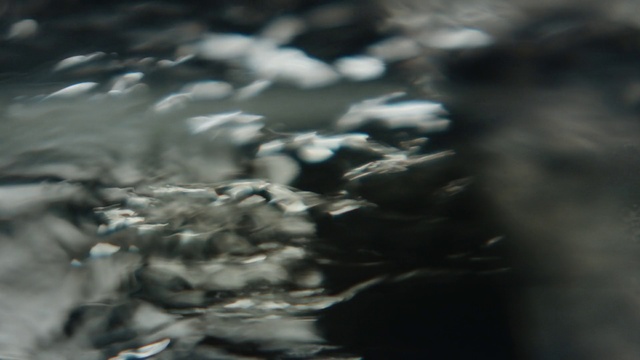 Video Reference: Water, Sky, Black-and-white, Monochrome, Rock, Monochrome photography, Tree, Cloud, Photography, Winter