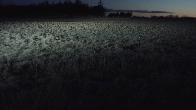 Video Reference: Sky, Black, Horizon, Water, Field, Atmospheric phenomenon, Cloud, Morning, Atmosphere, Evening