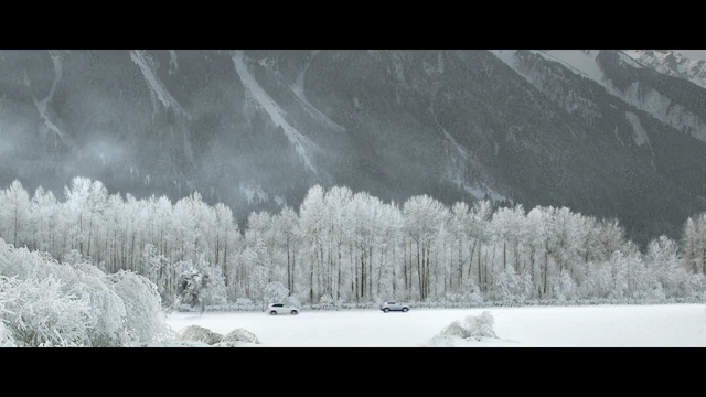 Video Reference: snow, winter, freezing, frost, sky, geological phenomenon, tree, black and white, glacial landform, ice