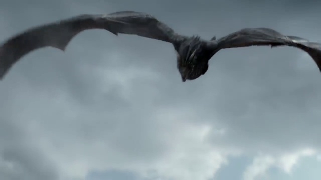 Video Reference: Bird, Sky, Wing, Bird of prey, Seabird, Cloud, Vulture, Beak, Gull, Black-and-white