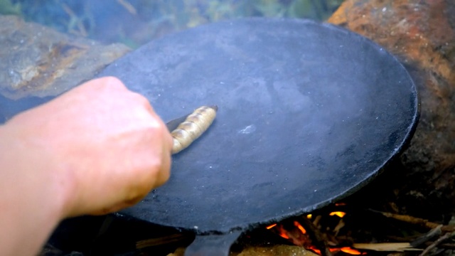 Video Reference: food, forest, hand, cook, fire 