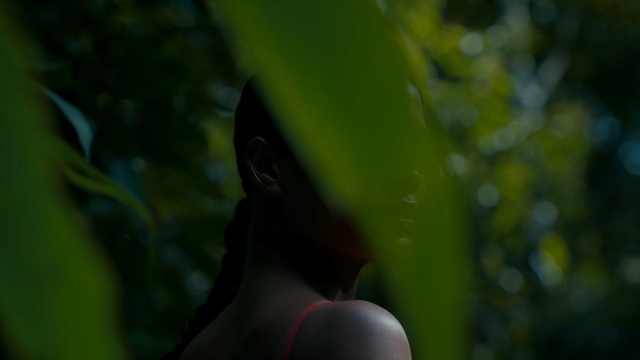 Video Reference: green, nature, leaf, yellow, flora, ecosystem, water, close up, macro photography, light