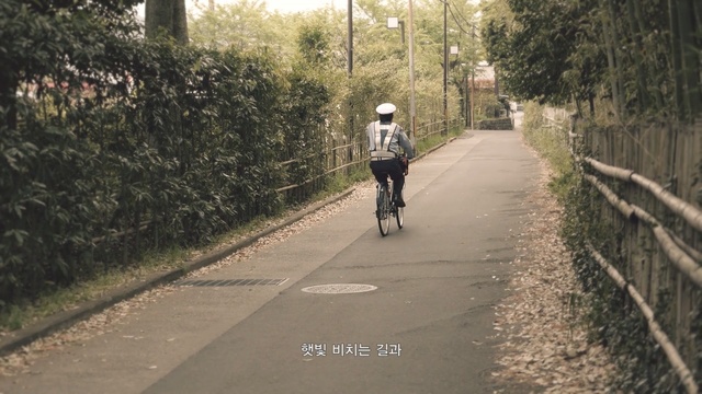 Video Reference: road, lane, path, cycling, road bicycle, infrastructure, tree, trail, bicycle, vehicle, Person