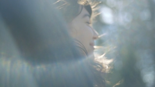 Video Reference: Sky, Sunlight, Light, Atmospheric phenomenon, Cloud, Tree, Water, Branch, Morning, Leaf