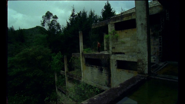 Video Reference: Nature, Green, Biome, House, Tree, Land lot, Rural area, Landscape, Forest, Grass