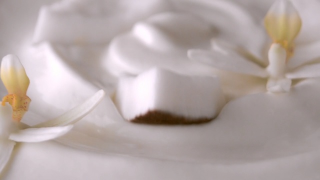 Video Reference: White, Petal, Flower, Meringue, Plant, Jasmine, Magnolia, Magnolia family, Gardenia, Icing