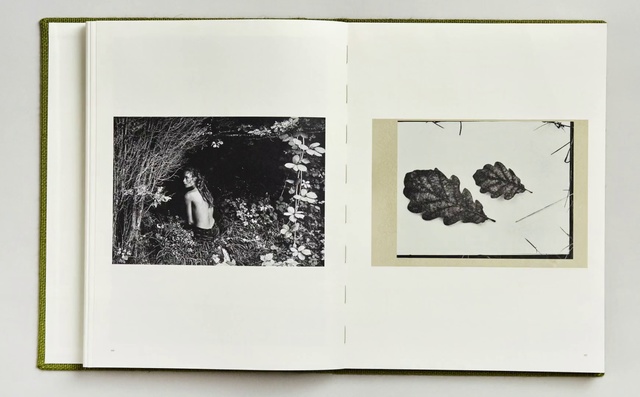 Video Reference: Picture frame, Photographic paper, Tree, Room, Art, Photography, Illustration, Plant, Painting, Black-and-white