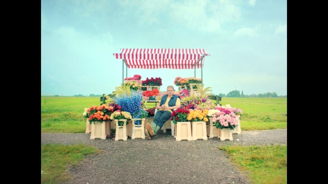 Video Reference: flower, grass, field, landscape, sky, outdoor structure, petal, plant, plantation